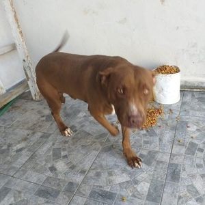 Meet your Posher, Héctor